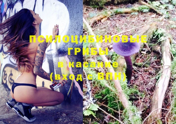 винт Липки