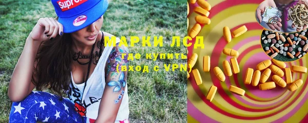 винт Липки