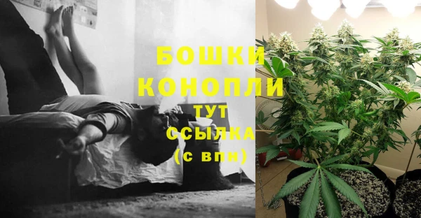 дурь Лиски