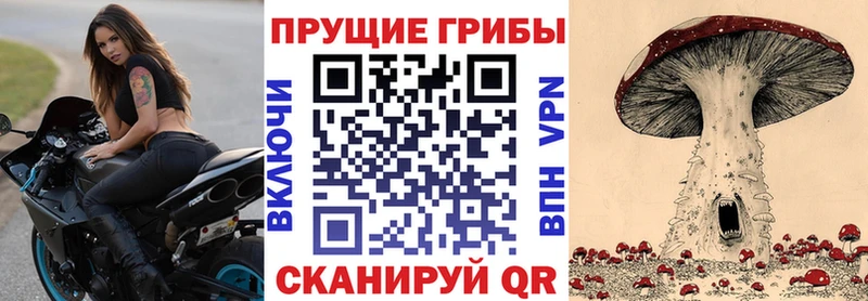 Галлюциногенные грибы ЛСД Жуковка