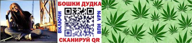 Каннабис Amnesia Жуковка