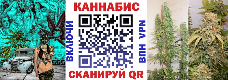 Каннабис ГИДРОПОН  Жуковка 